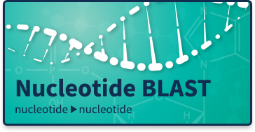 核苷酸查询->核苷酸数据库
