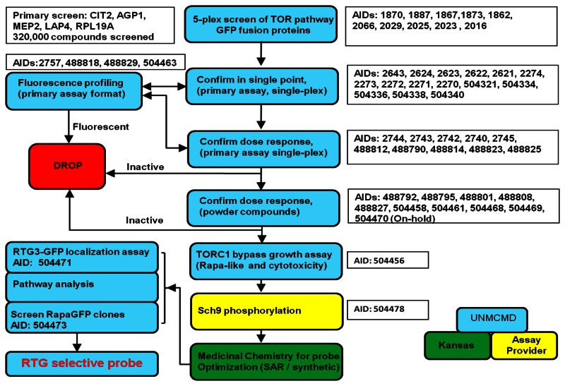 Triage Er Flowchart Sexiz Pix