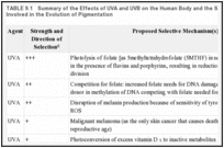 TABLE 9.1. Summary of the Effects of UVA and UVB on the Human Body and the Selective Mechanisms Involved in the Evolution of Pigmentation.