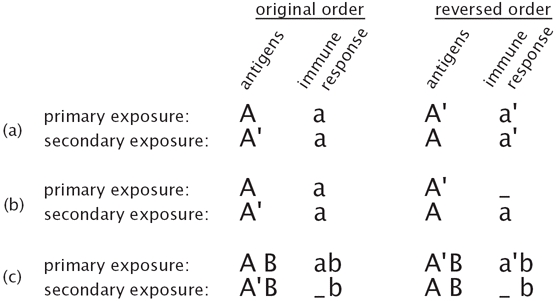 of original antigenic sin,