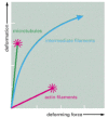 Figure 16-17. Mechanical properties of actin, tubulin, and intermediate filament polymers.