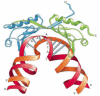 Figure 6-18. Three-dimensional structure of TBP (TATA-binding protein) bound to DNA.