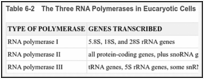 Table 6-2. The Three RNA Polymerases in Eucaryotic Cells.