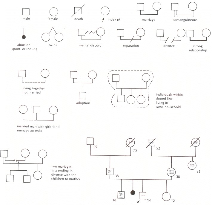 Family Genogram Symbols