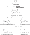 FIGURE 2-1. Synthetic pathway of the main cannabinoids, Δ9-THC and CBD, from the common precursor, olivetol.