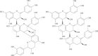 FIGURE 6.3. Cranberry uniquely contains A-type linkage (left), whereas other foods contain B-type linkage (right).