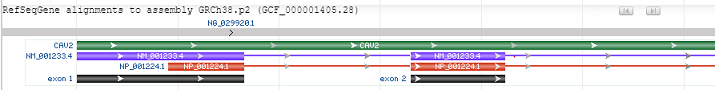 RefSeqGene alignment feature 7.3.5