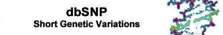 数据库SNP