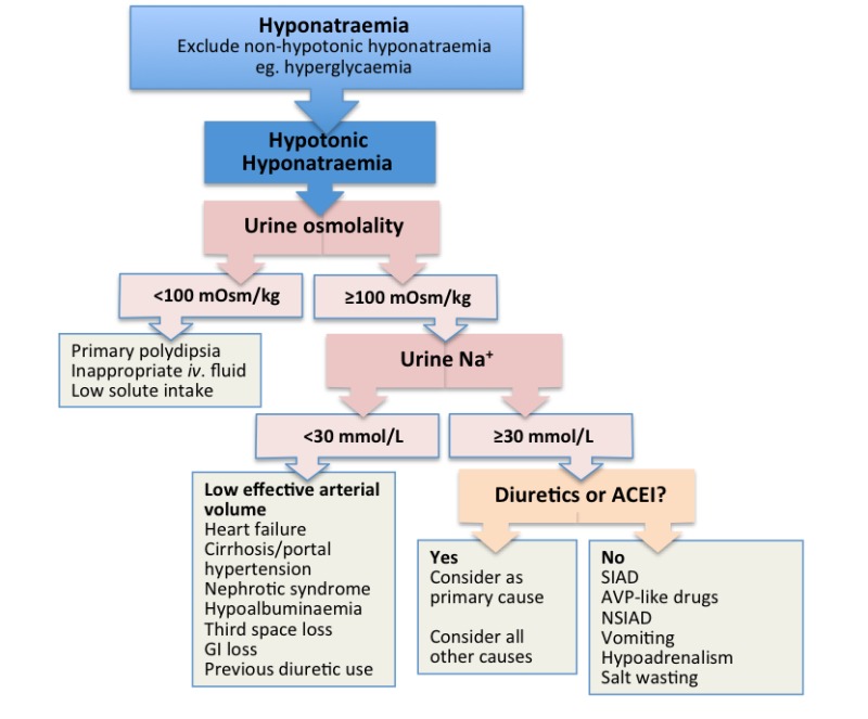 Figure 2 Diagnostic Algorithm For Patients Presenting With