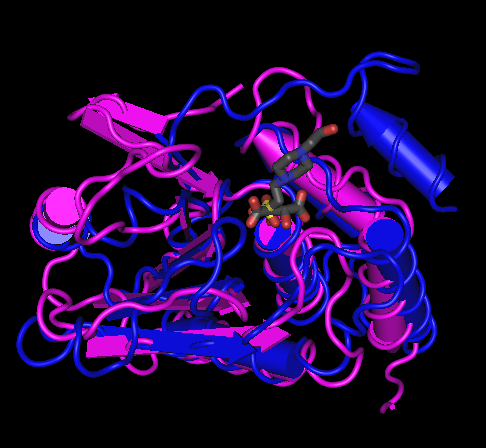 Structure Alignments In Cn3d