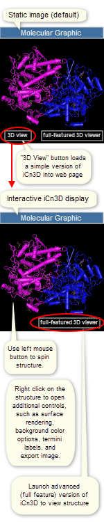 Sample thumbnail molecular graphic for 1PTH, prostaglandin H2 synthase-1 from sheep. A static image is shown by default. Click the 3D view button or the full-featured 3D viewer button near the bottom of a static molecular graphic to load an interactive view.