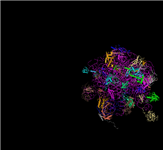 Last of four PDB split files for the ribosome structure by Nobel Laureate Ramakrishnan, showing the 3D view for the portion of the structure that is in PDB record 2XG2.