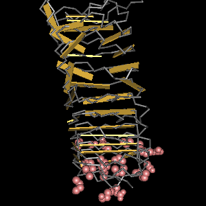 Conserved site includes 21 residues -Click on image for an interactive view with Cn3D
