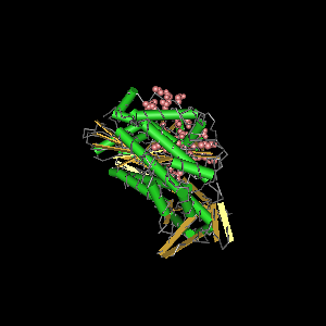 Conserved site includes 34 residues -Click on image for an interactive view with Cn3D