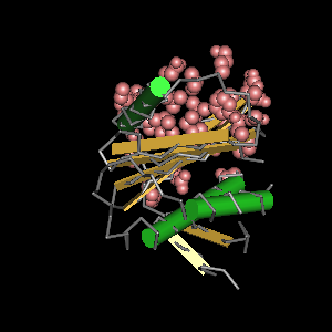 Conserved site includes 26 residues -Click on image for an interactive view with Cn3D