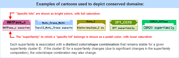 Image showing examples of the color/shape combinations used to depict different conserved domain superfamilies.
