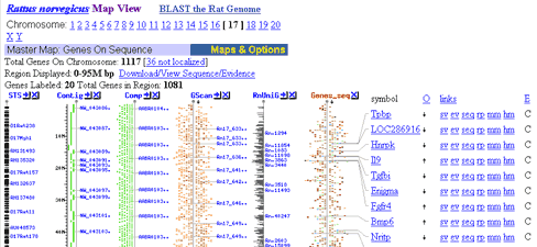 Ncbi blast