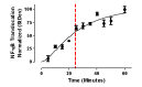 Figure 17: . NF-κB Translocation time course kinetics.