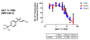 Figure 20: . BAY 11-7085 structure and NF-κB translocation inhibition experimental variability.