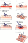 Figure 13.25