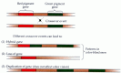 Figure 11.13. Many deficiencies of color vision are the result of genetic alterations in the red or green cone pigments due to the crossing over of chromosomes during meiosis.