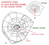 Figure 21