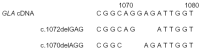 Figure 3. A 3 base pair deletion of the GLA gene has been described in two different ways by two groups of investigators.