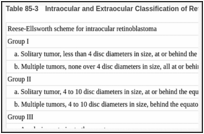 Table 85-3. Intraocular and Extraocular Classification of Retinoblastoma.