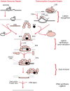 Figure 20-3