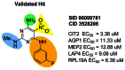 Figure 16. Validated hit and SAR strategy.