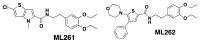 Figure 5. Probe structures.