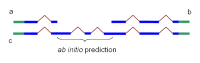 Figure 3. . Partial chains a and b produced by Chainer may be combined into one chain, c, by addition of the HMM prediction of missing coding sequence.