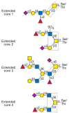 FIGURE 9.2. Complex O-GalNAc glycans with different core structures.