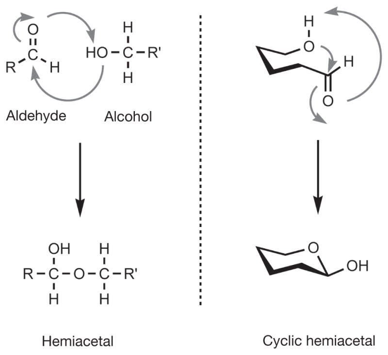 FIGURE 2.5. Formation of hemiacetals.