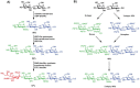 FIGURE 49.6. A comparison of the enzymatic (A) and chemical (B) syntheses of tetra- and pentasaccharide glycans.