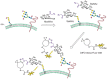 FIGURE 48.3. Metabolic and covalent labeling of glycans for in vivo imaging of the glycome.