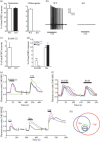 FIGURE 12.3. DRG neurons responsive to CQ and BAM8-22 define a subset of the nocioceptive population.