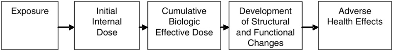 FIGURE 4.2. Exposure and dose-response paradigm in toxicology.