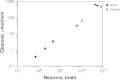 FIGURE 8.6. Total brain metabolism (measured as μmol of glucose consumed per minute) scales as a linear function of the total number of neurons in the brain across rodents and primates alike, including humans (arrow).