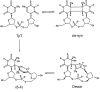 Рисунок 15.2.  Фотохимические реакции в дипиримидиновой последовательности ДНК, приводящие к образованию CPD (TpT1, TpT2) или [6-4] PP (TpT4) и его фотолитического производного, пиримидона Дьюара (TpT3).