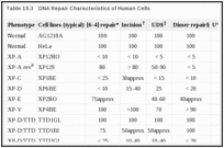 Таблица 15.3.  Характеристики репарации ДНК человеческих клеток.