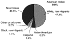 Figure 3.3. Metallurgical-materials engineering graduate students in all institutions, by race-ethnicity and citizenship, 1993.