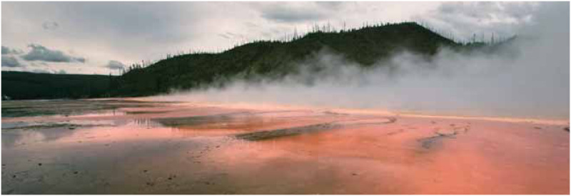 大棱镜泉，黄石公园的地热温泉，是适应这种极端环境的微生物的家园。