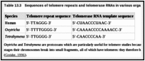 Table 13.3. Sequences of telomere repeats and telomerase RNAs in various organisms.