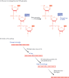 Figure 14.20. Base excision repair.