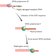 Figure 14.27. The SOS response of Escherichia coli.