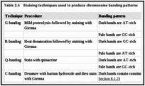 Table 2.4. Staining techniques used to produce chromosome banding patterns.