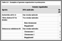 Table 2.9. Examples of genome organization in prokaryotes.