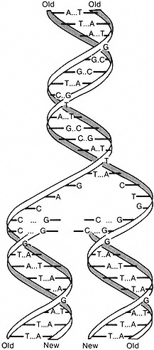 Gene Transfer - Genetic Engineering of Plants - NCBI Bookshelf
