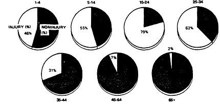 Figure 1. Percentages of deaths from injury and other causes in the United States in 1980, by age.